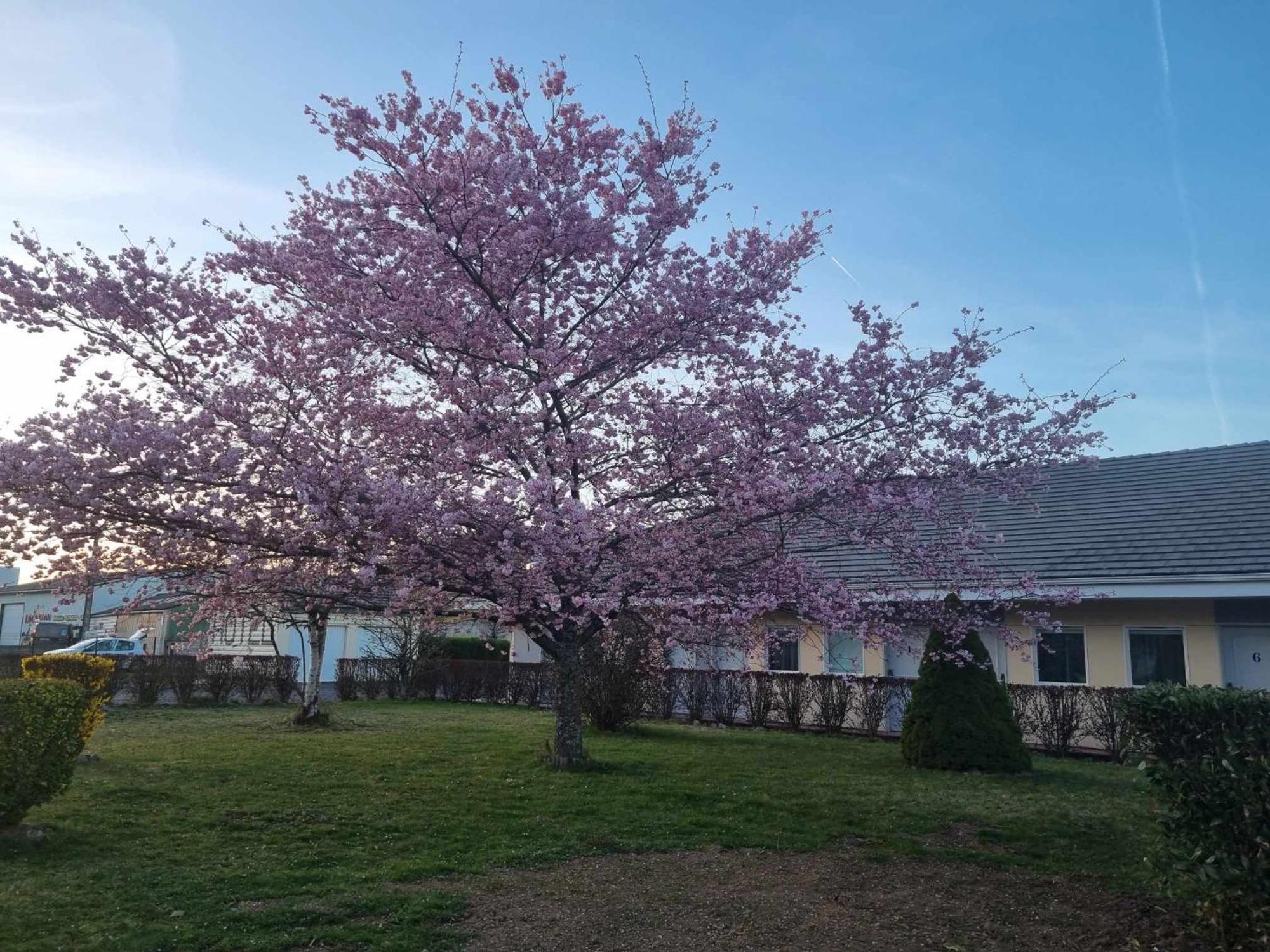 The Originals Access, Le Lutea Hotel